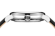 silver watch crown